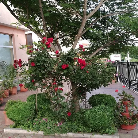 Family Mimosa 3*